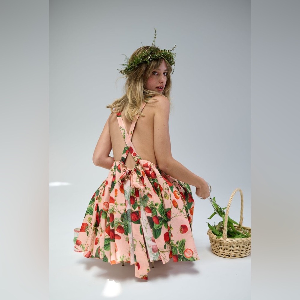 NWOT Selkie The Strawberry Wine Apron